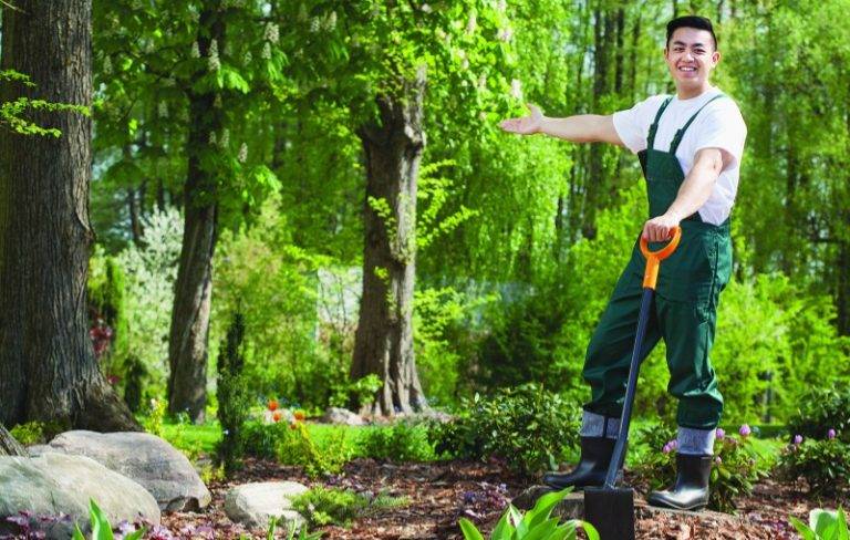 Top Quality landscapers