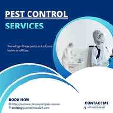 Pest Control Services In Dubai, UAE